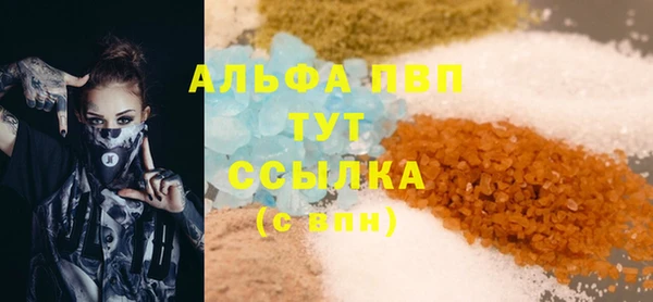 дмт Богданович