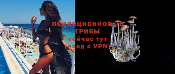 дмт Богданович