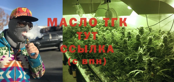 дмт Богданович