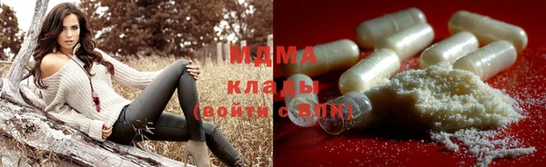 дмт Богданович