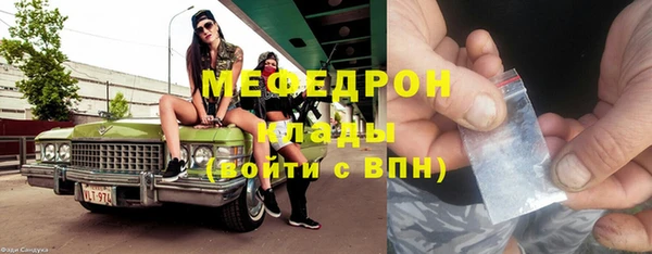 дмт Богданович