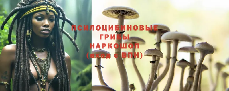 Галлюциногенные грибы Magic Shrooms  закладки  Валдай 