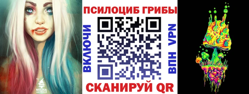 Галлюциногенные грибы Psilocybine cubensis  Валдай 